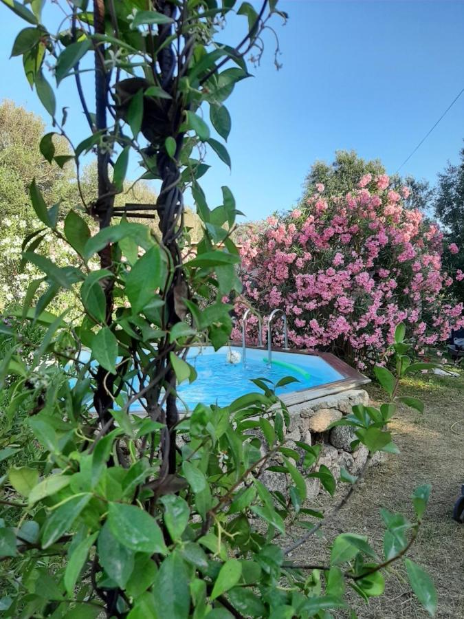 Mini Villa Giuseppina Бонифачо Экстерьер фото